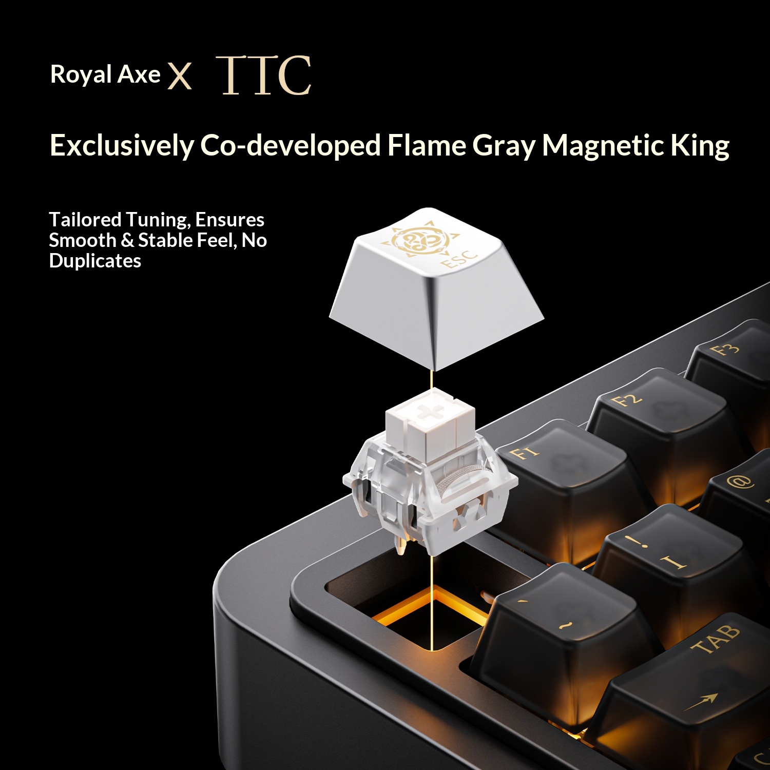 Royalaxe E75 HE Alüminyum Gövd - Gaming Keyboard Hall Effect Switches incelemesi ve fiyatı